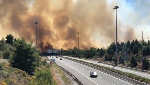 Φωτιά στο Μαρτίνο: Ανεξέλεγκτο το μέτωπο - Κομμένη στα δύο η Εθνική