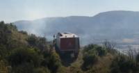 Φωτιά σε δασική έκταση στη Ζάκυνθο (video)