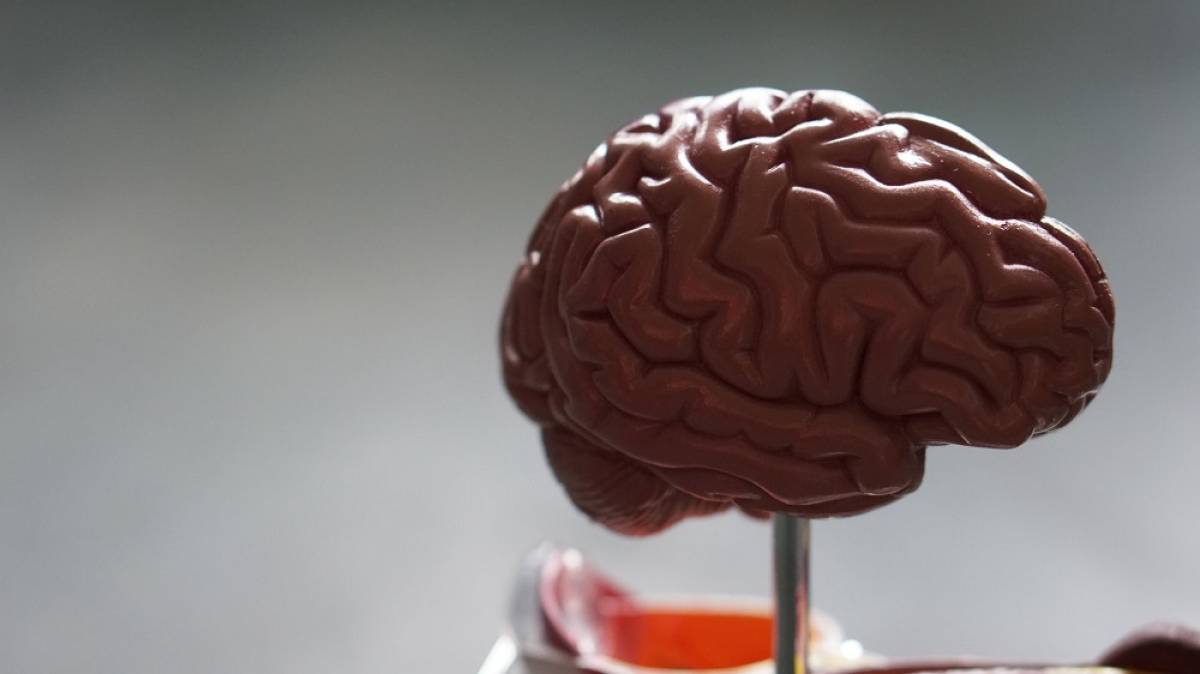 Οι επιστήμονες προειδοποιούν για σοβαρές εγκεφαλικές βλάβες λόγω Covid-19