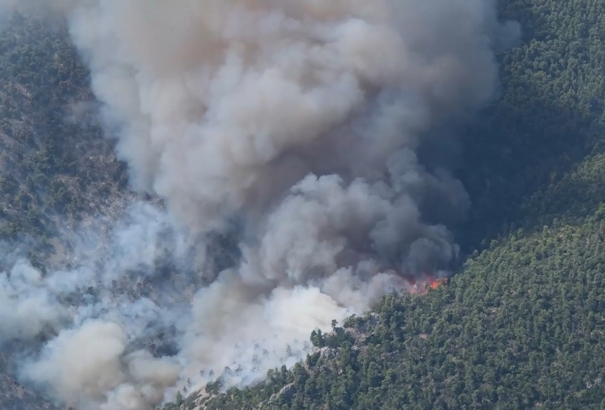 Φωτιά στην Πάρνηθα: Όσα «είδε» το ελικόπτερο της Πυροσβεστικής - Οι δραματικές εντολές (βίντεο)