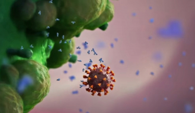Κορονοϊός: Έτσι μας προστατεύουν τα εμβόλια mRNA - Εντυπωσιακό βίντεο