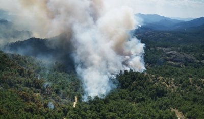 Φωτιά στο Εθνικό Πάρκο Δαδιάς: Το τριπλό «κοκτέιλ» που βάζει εμπόδια στην κατάσβεση - Πού δίδεται η μάχη