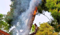 Μαρούσι: Κεραυνός έπεσε δίπλα σε καφετέρια - Δέντρο άρπαξε φωτιά