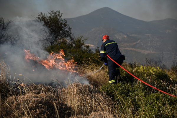 Φωτιά τώρα στο Δομοκό: Καίγεται δασική έκταση πάνω από παράρτημα ΑμΕΑ