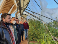 Επίσκεψη κλιμακίου του Κινήματος Αλλαγής στις πληγείσες αγροτικές καλλιέργειες του Μαραθώνα