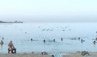 Καύσωνας: Στις παραλίες από τα ξημερώματα για να αντέξουν τα 40άρια - Βίντεο