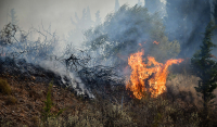 Φωτιά τώρα στην Πάτρα - Προληπτική εκκένωση κατοικιών στην περιοχή Προφήτης Ηλίας
