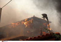 Γκουρμπάτσης για φωτιά στον Κουβαρά: «Οι τράκτορες δε μπορούσαν να ρίξουν νερό»