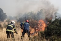 Χαλκιδική: Φωτιά σε δύσβατη δασική περιοχή στη Μόλα Καλύβα