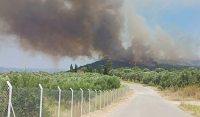 Φωτιά στη Λακωνία: Μεγάλη αναζωπύρωση στο Πυρί (Βίντεο)