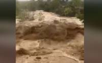 Καρδίτσα τώρα: Συγκλονιστικό βίντεο - Δείτε τον «φουσκωμένο» ποταμό Καλέτζη