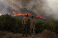 Έβρος: Φόβοι ότι η φωτιά θα κάψει και το υπόλοιπο δάσος της Δαδιάς - Πολλά τα πύρινα μέτωπα