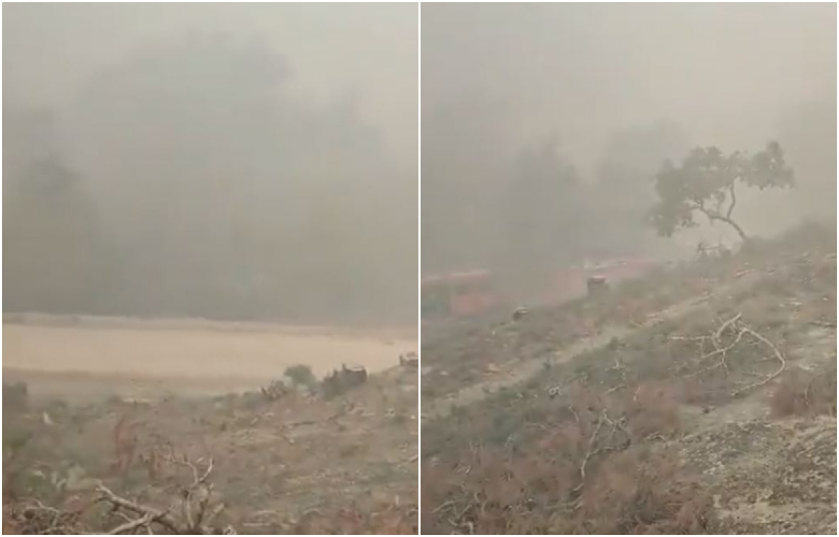 Φωτιά στο Εθνικό Πάρκο Δαδιάς: Ανεξέλεγκτη για τρίτη ημέρα - Πυκνός καπνός καθηλώνει στο έδαφος τα εναέρια μέσα (Βίντεο)