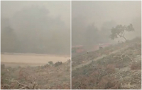 Φωτιά στο Εθνικό Πάρκο Δαδιάς: Ανεξέλεγκτη για τρίτη ημέρα - Πυκνός καπνός καθηλώνει στο έδαφος τα εναέρια μέσα (Βίντεο)