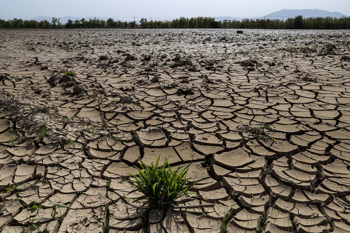 Πανελλήνιες 2024: Η κλιματική κρίση «ξεκλειδώνει» νέα επαγγέλματα
