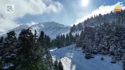 Παρνασσός: Τα πρώτα χιόνια και η μαγεία του δάσους - Βίντεο «Up Stories»