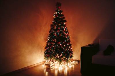 Χριστουγεννιάτικο δέντρο: Το πρώτο στην Ελλάδα και το «αιώνιο» ερώτημα φυσικό ή τεχνητό
