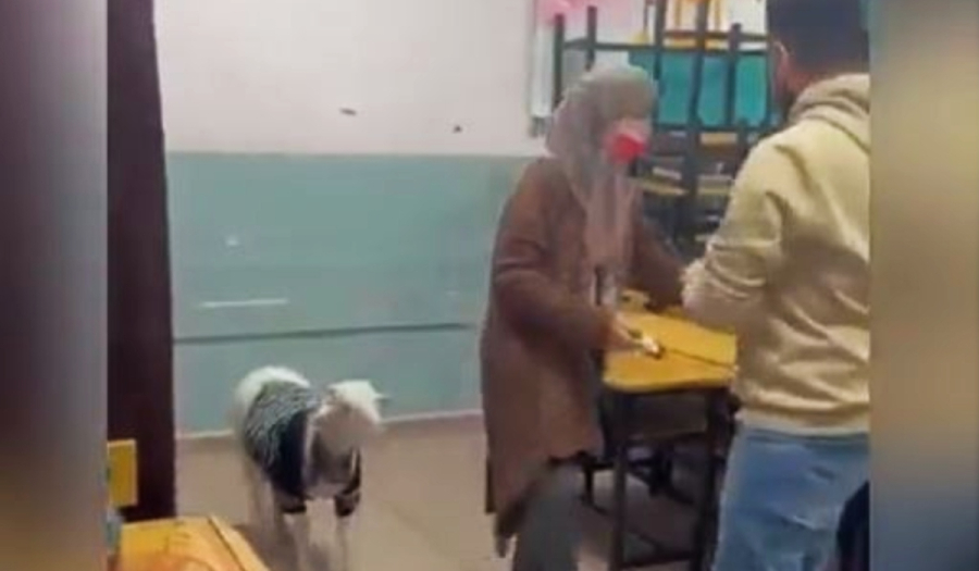 Εκλογές Τουρκία: Πήρε το... αρνί της και πήγε να ψηφίσει
