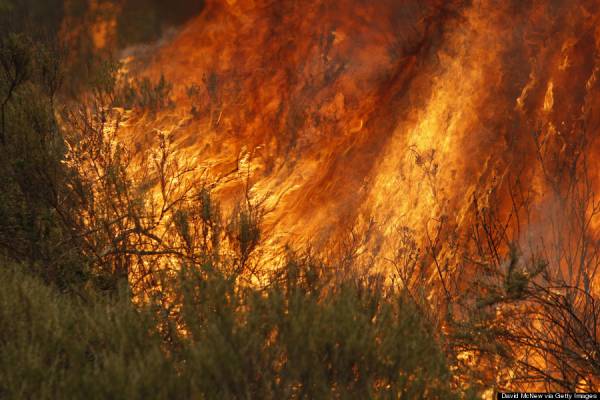 Μεγάλες δασικές πυρκαγιές σε Βολιβία και Παραγουάη