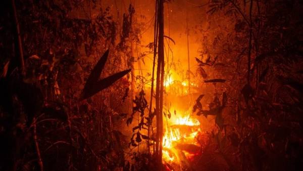 Αμαζόνιος: Δραματική έκκληση Ντι Κάπριο για τις πυρκαγιές - Δώρισε 5 εκατ. δολάρια