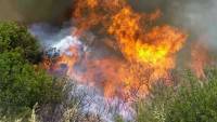 Υπό μερικό έλεγχο η πυρκαγιά στη Μάνδρα Αττικής - Φωτιά στο Μαρκόπουλο