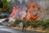 Φωτιές σε Μεσσηνία, Αρκαδία και Ηλεία: Συνεχίζεται η μάχη των πυροσβεστών