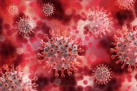 Κορονοϊός: Εντοπίστηκε μετάλλαξη του ιού δέκα φορές πιο μεταδοτική