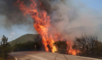LIVE - Διπλό μέτωπο φωτιάς στην Πάρνηθα - Αναζωπυρώσεις σε Βοιωτία και Έβρο