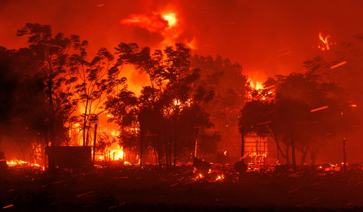 Φωτογραφία από τη φωτιά στον Έβρο, στο χωριό Άβαντας
