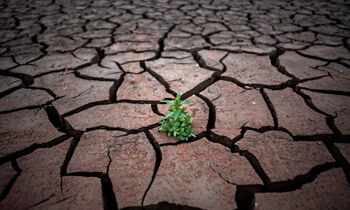 Η ξηρασία απειλεί την Ελλάδα – Ποιες περιοχές κινδυνεύουν με ερημοποίηση