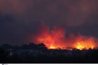 Φωτιά στην Αλεξανδρούπολη: Ολονύχτια μάχη στα μέτωπα - Παραμένουν ισχυροί οι άνεμοι