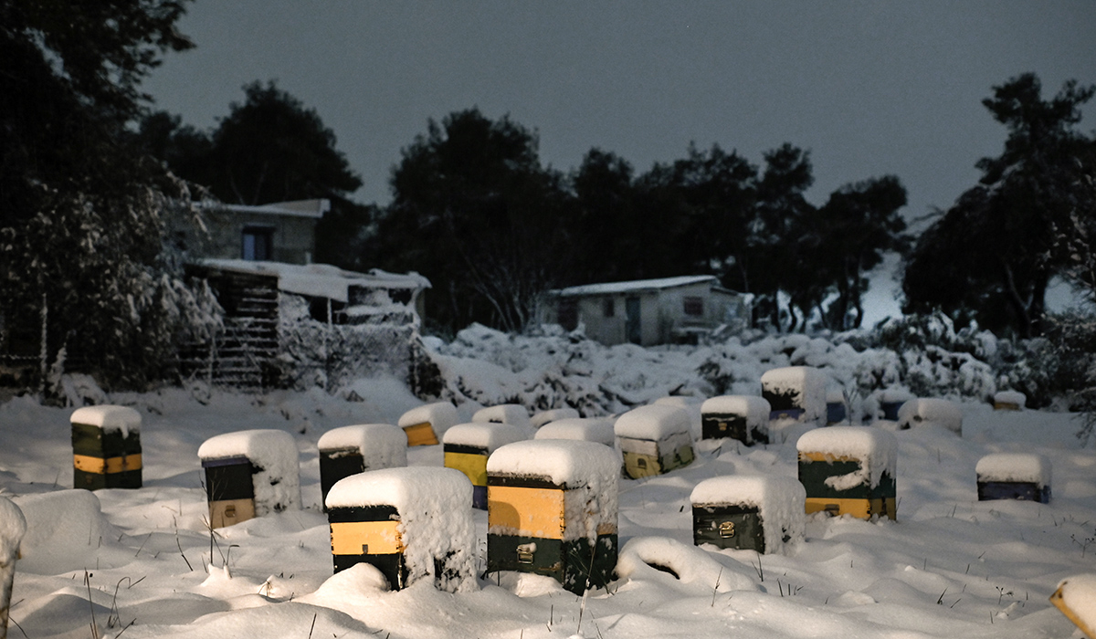 Σε ποιες περιοχές της Δυτικής Ελλάδας και της Πελοποννήσου καταγράφονται προβλήματα λόγω χιονιού