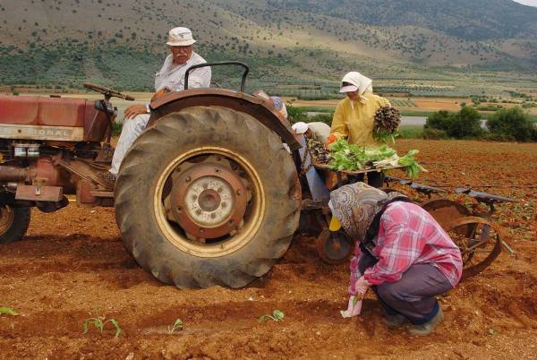 O δήμος Ιωαννιτών παραχωρεί σε άνεργους ανεκμετάλλευτη αγροτική γη για καλλιέργεια