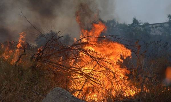 Πυρκαγιές σε δασική έκταση στην Ραφήνα και στον Βαρνάβα Αττικής