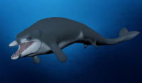 Ιστορική ανακάλυψη στην Αίγυπτο: Βρέθηκαν οστά φάλαινας 41 εκατ. ετών