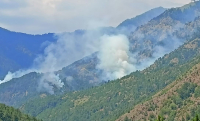 Βάλια Κάλντα: Έξι μέρες καίει η φωτιά το παρθένο οικοσύστημα του Εθνικού Δρυμού Πίνδου