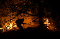 Φωτιά στα Χανιά: Ισχυρές δυνάμεις στην δασική περιοχή του Σελίνου