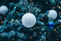 Παγώνη: «Ξεχάστε ρεβεγιόν Χριστούγεννα και Πρωτοχρονιά, αλλαγή χρονιάς μόνοι μας»