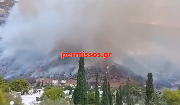 Δίστομο: Πολύ κοντά σε οικισμούς η φωτιά - Εστάλη 112 (Βίντεο και εικόνες)