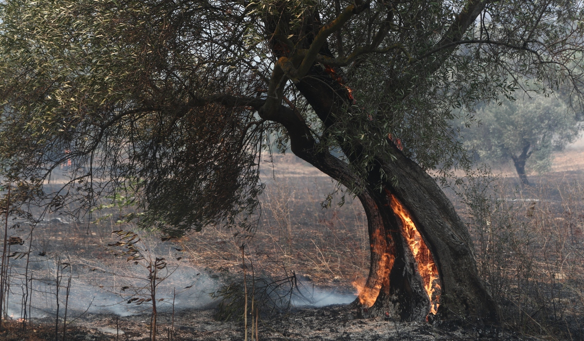 Φωτιά τώρα στη Μακρακώμη Φθιώτιδας - Απειλούνται αγροικίες
