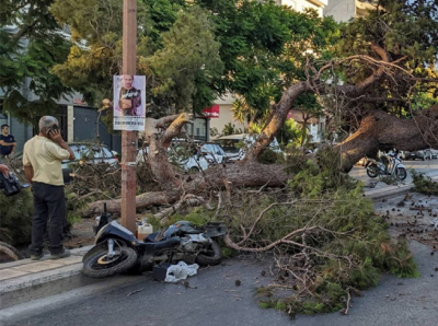 Κρήτη: Συγκλονίζει η χήρα του 51χρονου που καταπλακώθηκε από δέντρο