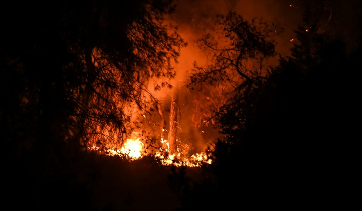 Μεγάλη φωτιά στην Ηλεία - Ολονύχτια μάχη στην Καλλιθέα