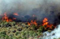 Χίος: Μεγάλη πυρκαγιά στην περιοχή Καμπόχωρα