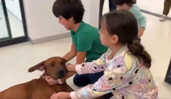 Ισραήλ: Η συγκινητική στιγμή που τρία παιδιά - όμηροι βλέπουν ξανά τον σκύλο τους (Βίντεο)