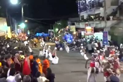 Χάος σε παρέλαση στη Σρι Λάνκα: Ελέφαντες ποδοπάτησαν όποιον βρέθηκε στο διάβα τους (Βίντεο)