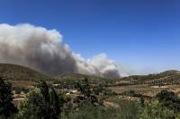 Φωτιές στην Αττική: Μάχη με τις φλόγες και τους ανέμους σε Νέα Μάκρη και Κερατέα