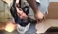 Συγκλονιστικό βίντεο από διάσωση νεογέννητου: Το έβαλαν σε σακούλα και το πέταξαν στα σκουπίδια