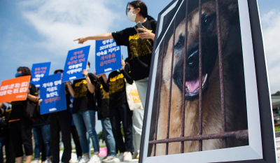 Νότια Κορέα: Προς απαγόρευση η κατανάλωση κρέατος σκύλων