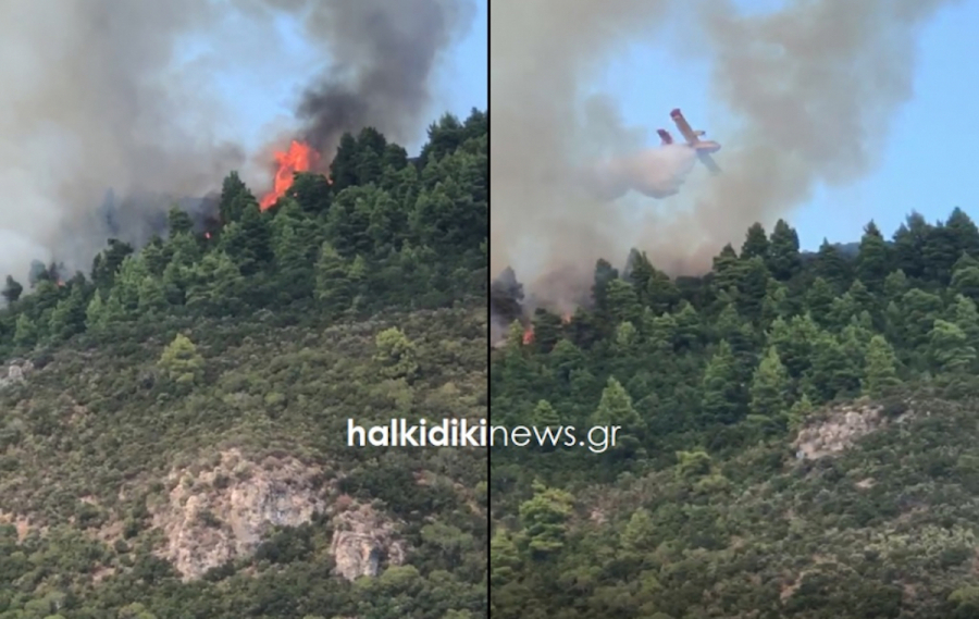 Φωτιά στο Άγιο Όρος: Συνεχίζεται η μάχη με τις φλόγες