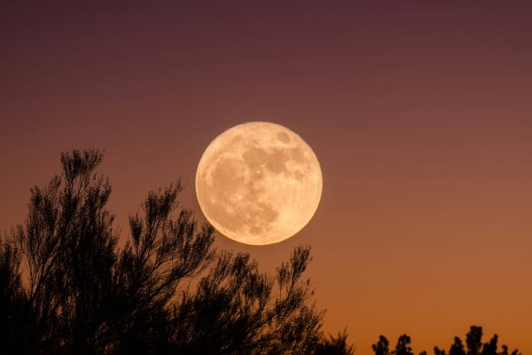 Έρχεται η πανσέληνος Απριλίου 2024 - Πώς θα φωτογραφίσετε το «Ροζ Φεγγάρι»